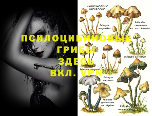 Альфа ПВП Арсеньев