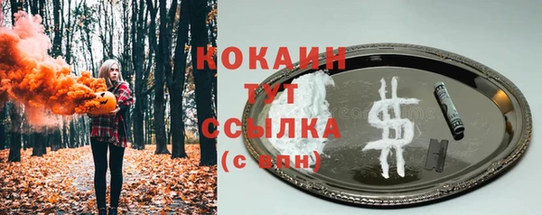 PSILOCYBIN Аркадак