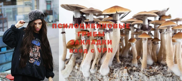 дурь Армянск