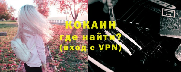 PSILOCYBIN Аркадак