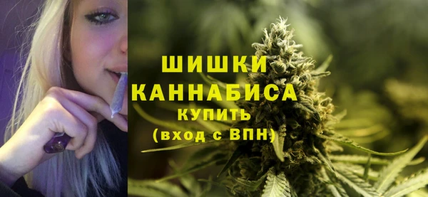 PSILOCYBIN Аркадак